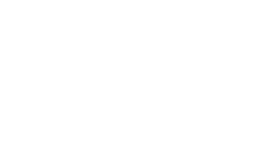 Quiroz Chiropractic - Richardson logo, it is white.